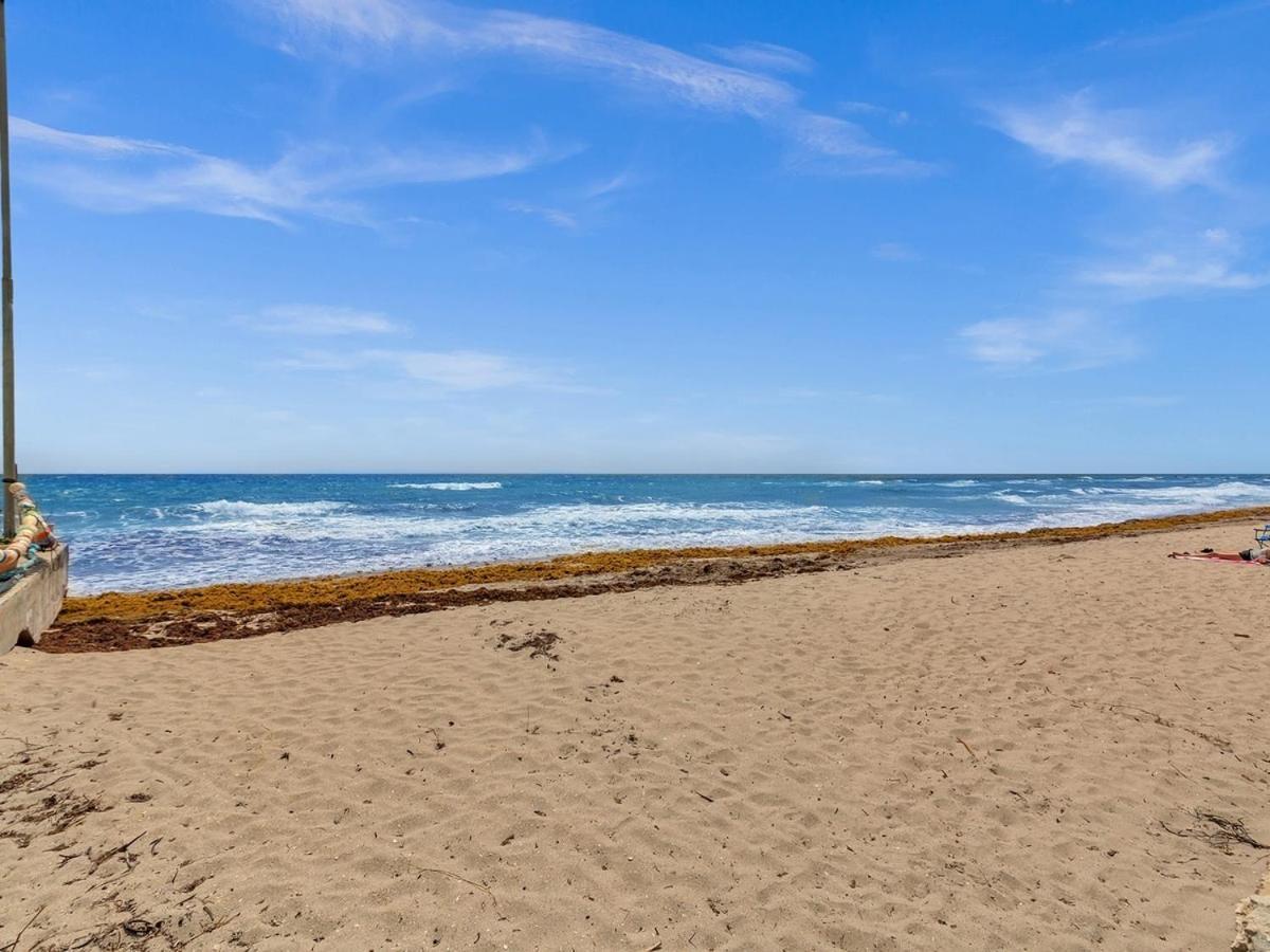 The Shell On Walnut Studio With Bath Hollywood Beach Free Parking Дания-Бич Экстерьер фото