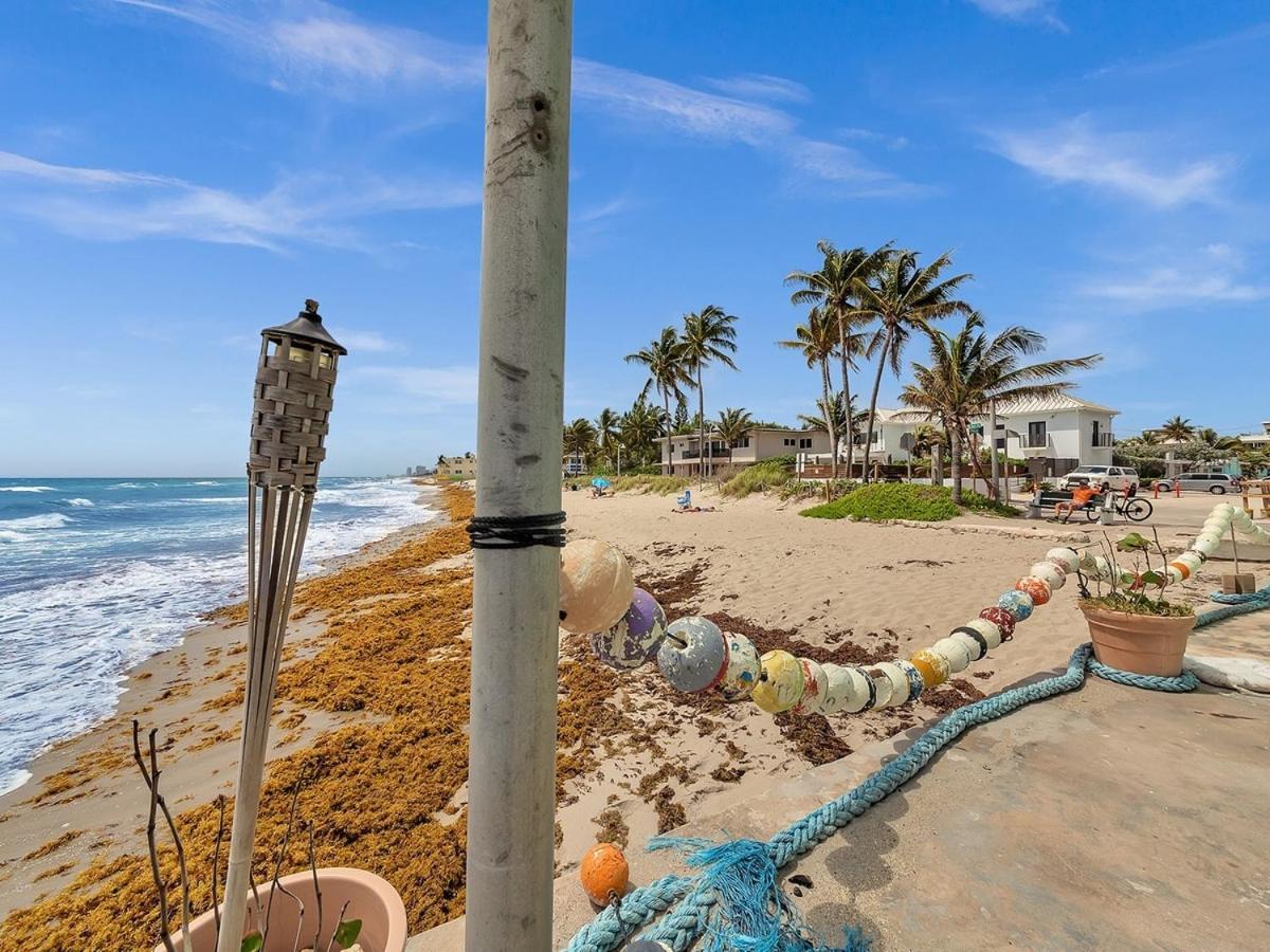 The Shell On Walnut Studio With Bath Hollywood Beach Free Parking Дания-Бич Экстерьер фото